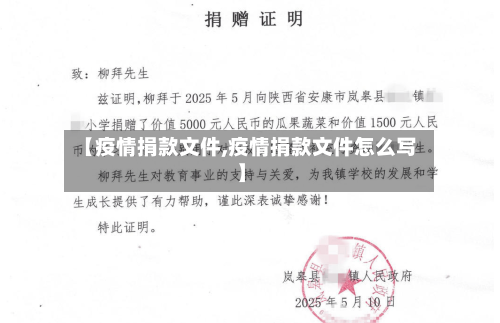 【疫情捐款文件,疫情捐款文件怎么写】-第1张图片