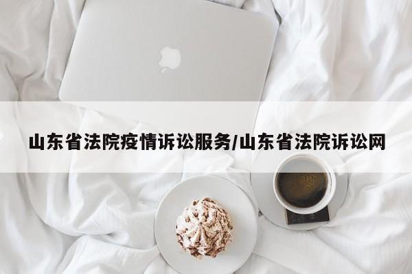 山东省法院疫情诉讼服务/山东省法院诉讼网
