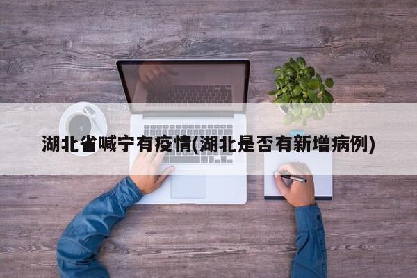 湖北省喊宁有疫情(湖北是否有新增病例)