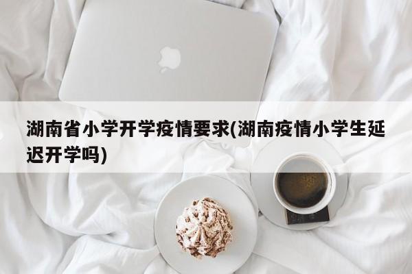 湖南省小学开学疫情要求(湖南疫情小学生延迟开学吗)