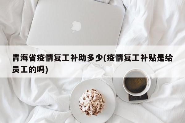 青海省疫情复工补助多少(疫情复工补贴是给员工的吗)