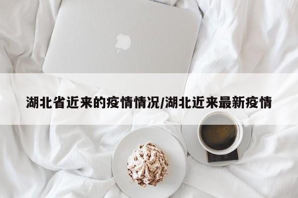 湖北省近来的疫情情况/湖北近来最新疫情
