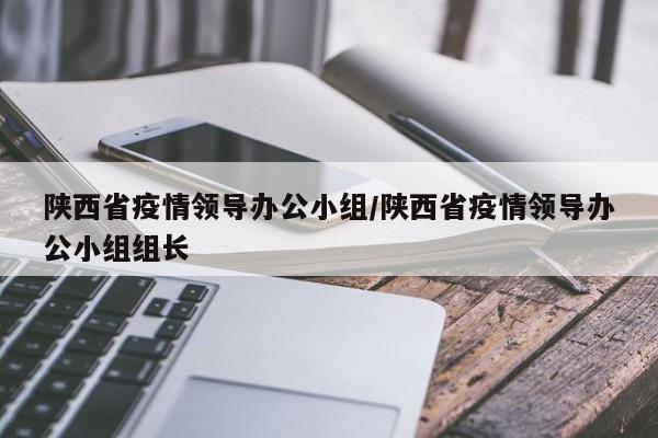 陕西省疫情领导办公小组/陕西省疫情领导办公小组组长