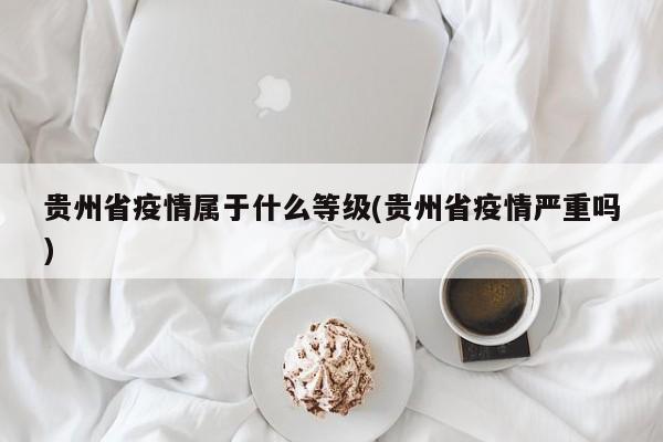 贵州省疫情属于什么等级(贵州省疫情严重吗)