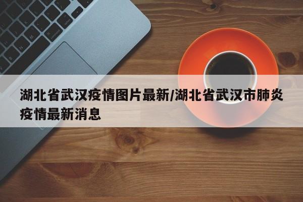 湖北省武汉疫情图片最新/湖北省武汉市肺炎疫情最新消息