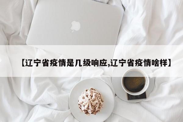 【辽宁省疫情是几级响应,辽宁省疫情啥样】