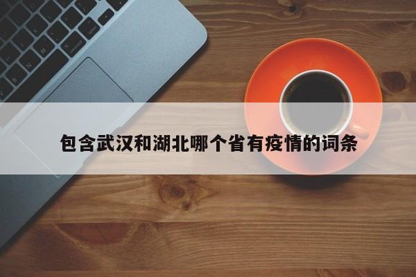 包含武汉和湖北哪个省有疫情的词条
