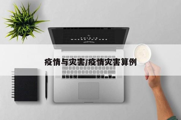 疫情与灾害/疫情灾害算例