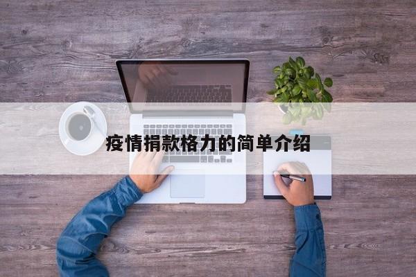 疫情捐款格力的简单介绍