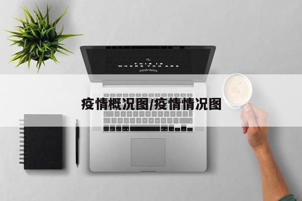 疫情概况图/疫情情况图
